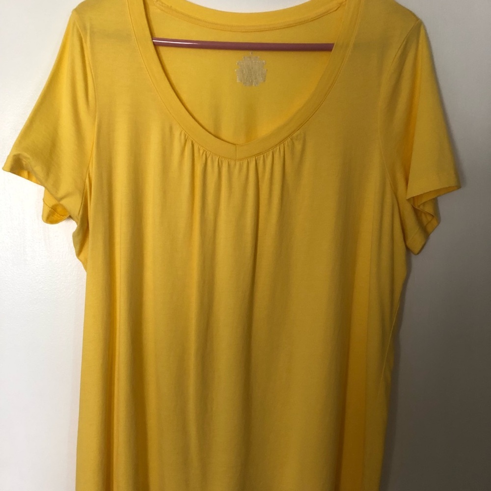 Ladies top